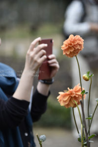 ［6］スマホで写真撮影
