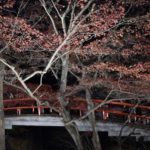 ［6］伊香保の河鹿橋の紅葉は終わっていました・・