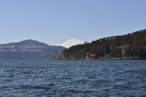 ［6］２０１６年　謹賀新年