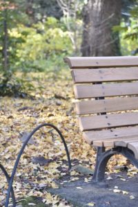 ［6］冬の公園のベンチ