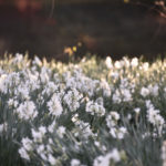 ［6］師走の雰囲気を感じながら、