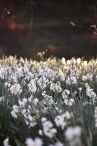 ［6］師走の雰囲気を感じながら、