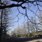 ［6］何処か寂しい冬の景色