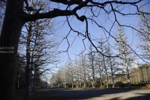 ［6］何処か寂しい冬の景色