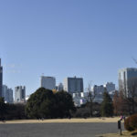 ［6］冬空の晴れた日に新宿御苑を散歩