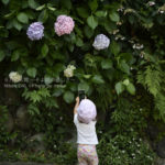 ［6］2015年を振り返る