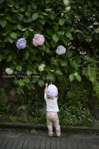 ［6］2015年を振り返る