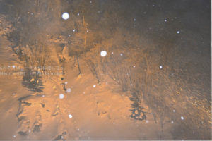 ［6］週末には雪が・・？