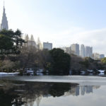 ［6］雪に覆われた東京都内