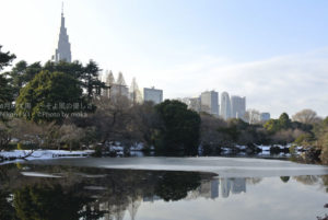 ［6］雪に覆われた東京都内
