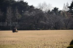 ［6］冬の西日が眩しい