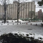 ［6］大雪で散々な一日・・