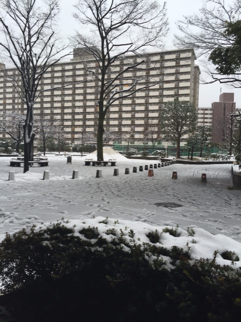 ［6］大雪で散々な一日・・