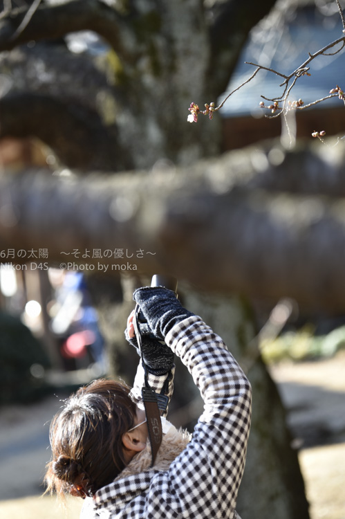 ［6］寒桜とカメラ女子