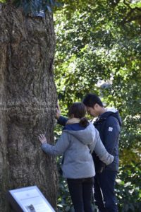 ［6］願いを込めて　− 二人の将来（みらい） −