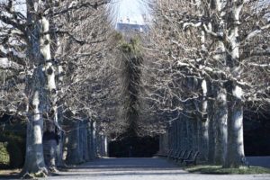 ［6］冬の新宿御苑を歩こう