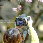 ［6］寒桜を撮るカメラ女子！