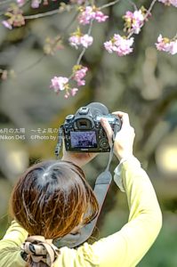 ［6］寒桜を撮るカメラ女子！