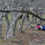 ［6］隠れんぼの裏側！？