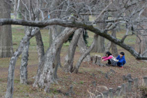 ［6］隠れんぼの裏側！？