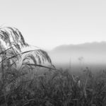 ［6］Week 5 : Black and White