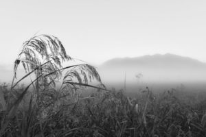 ［6］Week 5 : Black and White