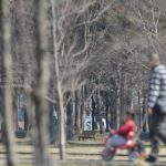 ［6］春の日差しを浴びて