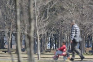 ［6］春の日差しを浴びて