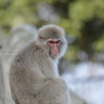 ［6］春の日差しは眠いzzz