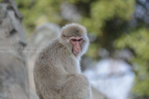 ［6］春の日差しは眠いzzz
