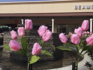 ［6］酒々井プレミアム・アウトレットで買い物