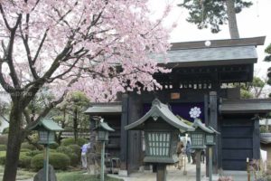 ［6］安行桜と密蔵院