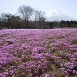 ［6］2016年のゴールデンウィーク、何処に行きますか！？