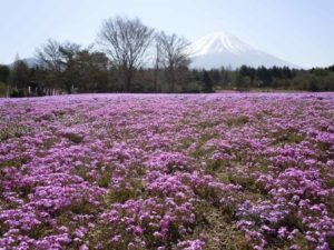 ［6］2016年のゴールデンウィーク、何処に行きますか！？