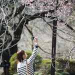 ［6］Week 7：Faceless