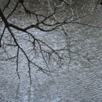 ［6］春の日差しと桜