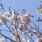 ［6］カメラの先にあるものは？