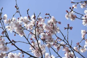 ［6］カメラの先にあるものは？