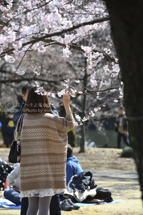 ［6］桜の花とカメラ女子と着物女子
