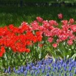 ［6］昭和記念公園はおとぎの国！？