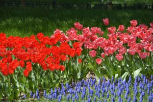 ［6］昭和記念公園はおとぎの国！？