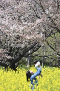 ［6］幸せな笑顔