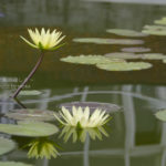 ［6］Week 11 : Reflection