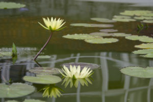 ［6］Week 11 : Reflection