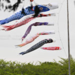 ［6］子供の日の思い出