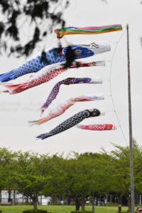 ［6］子供の日の思い出