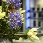 ［6］Nikon D500　世界はここまで、凝縮できる。