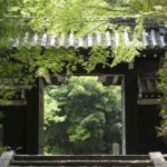 ［6］新緑に囲まれたよ、よみうりランド聖地公園