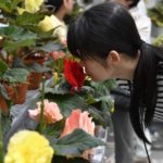 ［6］2016年、神代植物園の温室がリニューアルオープン