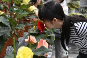 ［6］2016年、神代植物園の温室がリニューアルオープン